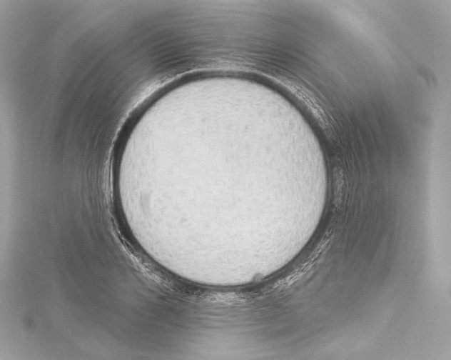 X0000115420982200912011323