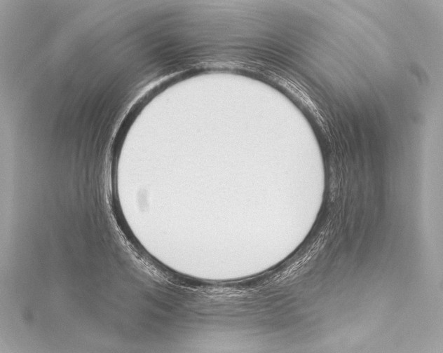 X0000115420984200912011323