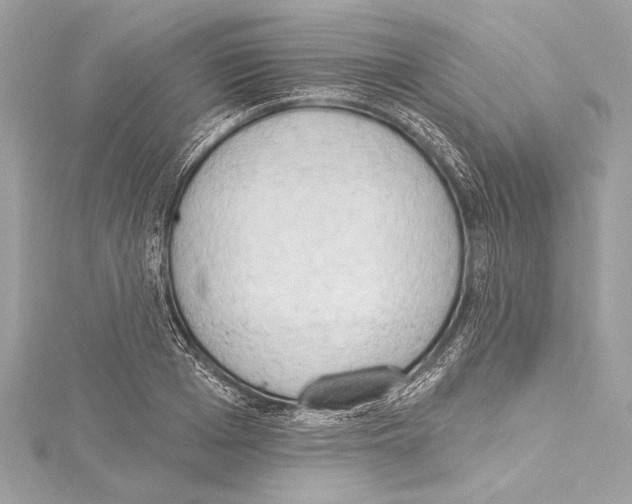 X0000115420985200912011323