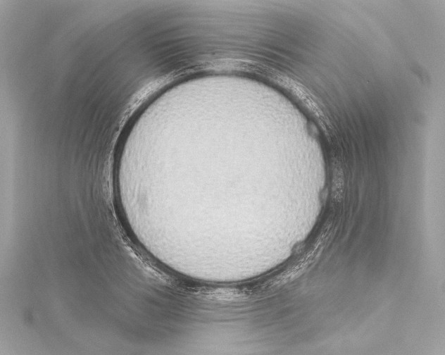 X0000115420986200912011323