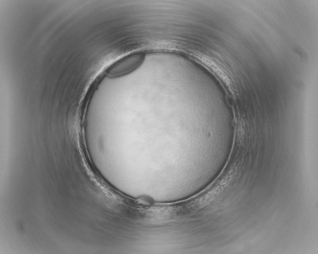 X0000115420989200912011323