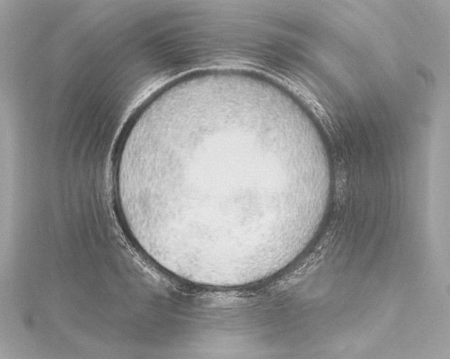 X0000115420990200912011323