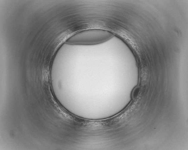 X0000115420993200912011323