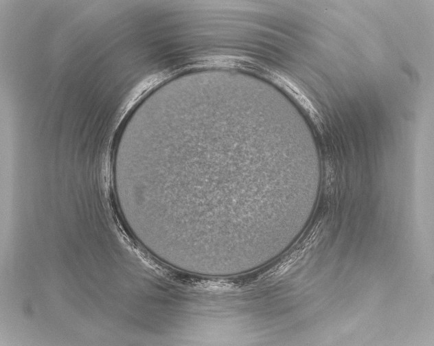 X0000115420994200912011323