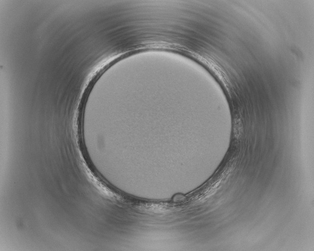 X0000115420995200912011323