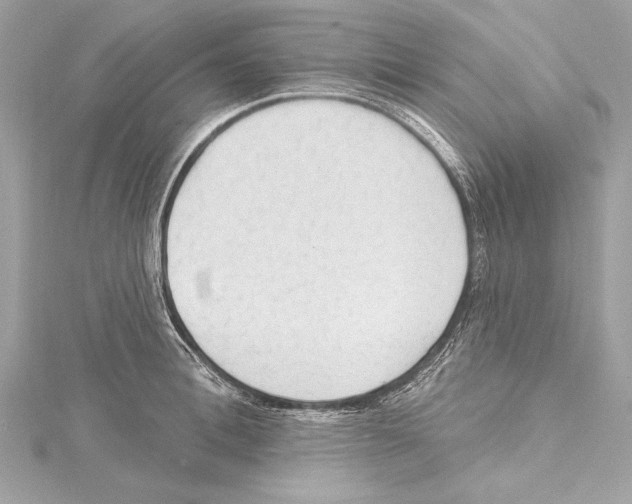 X0000115420996200912011323