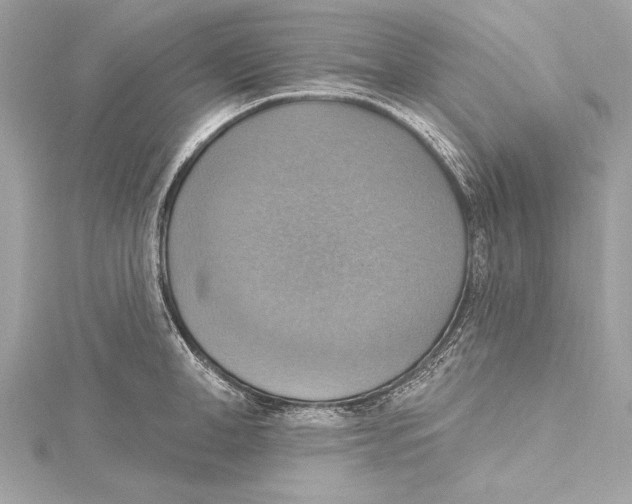 X0000115420998200912011323