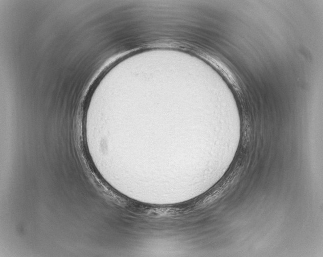 X0000115421000200912011323