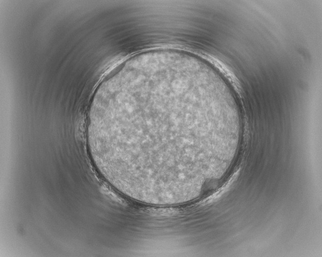 X0000115421001200912011323