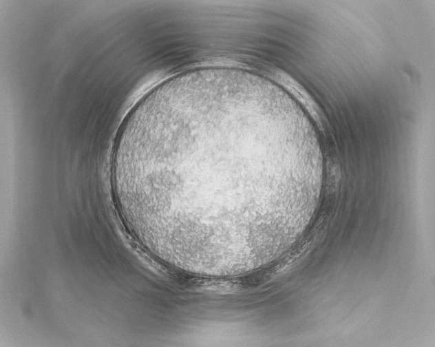 X0000115421002200912011323