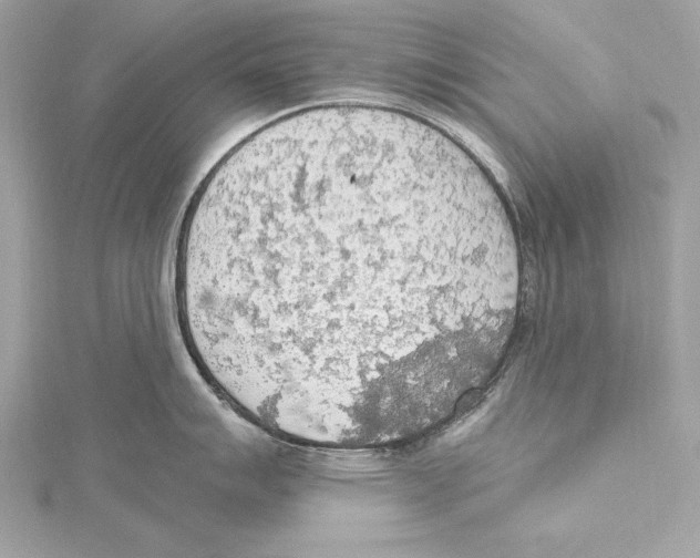 X0000115421007200912011323