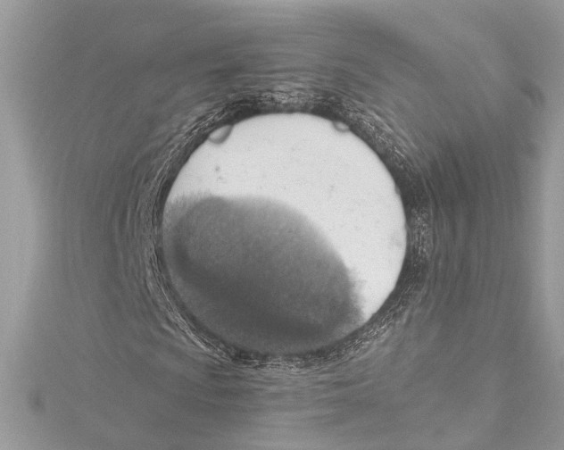 X0000115421009200912011322