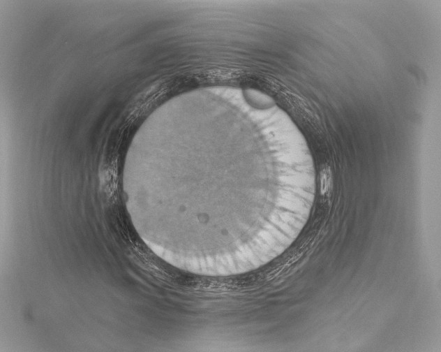 X0000115421011200912011322