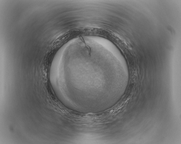 X0000115421013200912011322