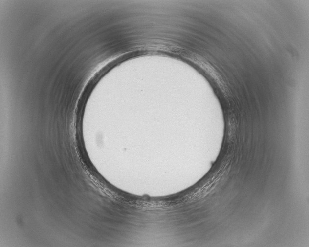 X0000115421020200912011322