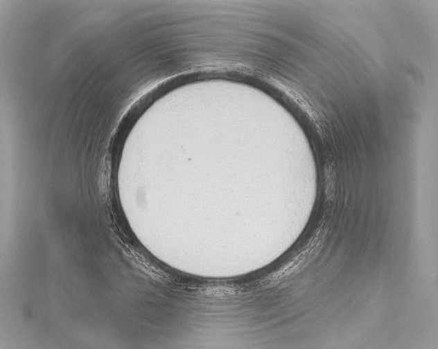 X0000115421021200912011322