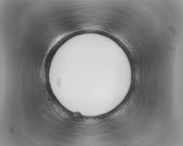 X0000115421022200912011322