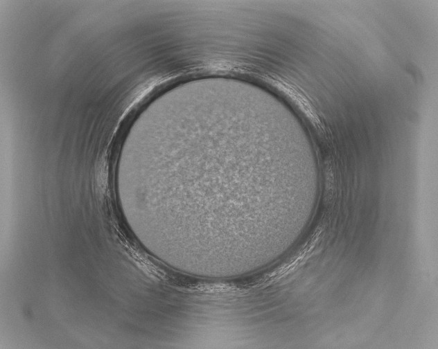 X0000115421023200912011322