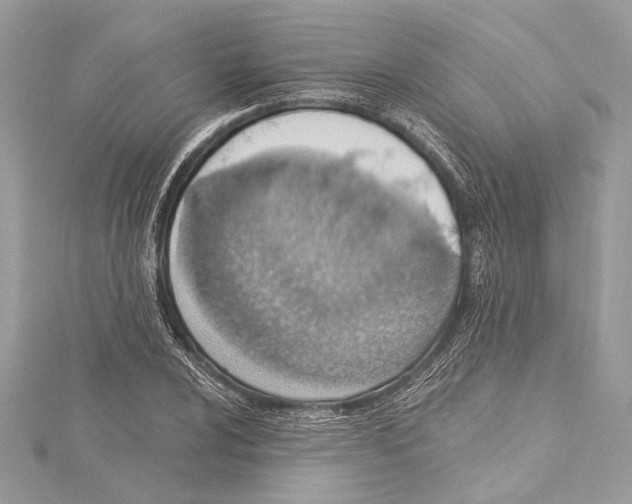 X0000115421024200912011322