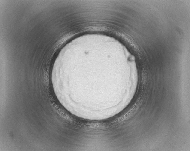 X0000115421025200912011322