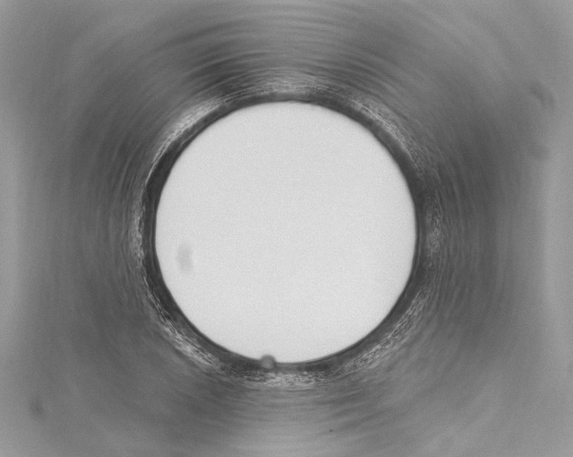 X0000115421026200912011322