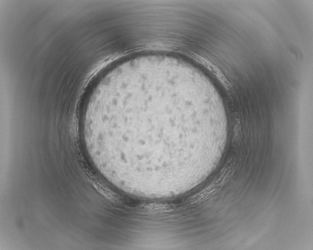 X0000115421027200912011322