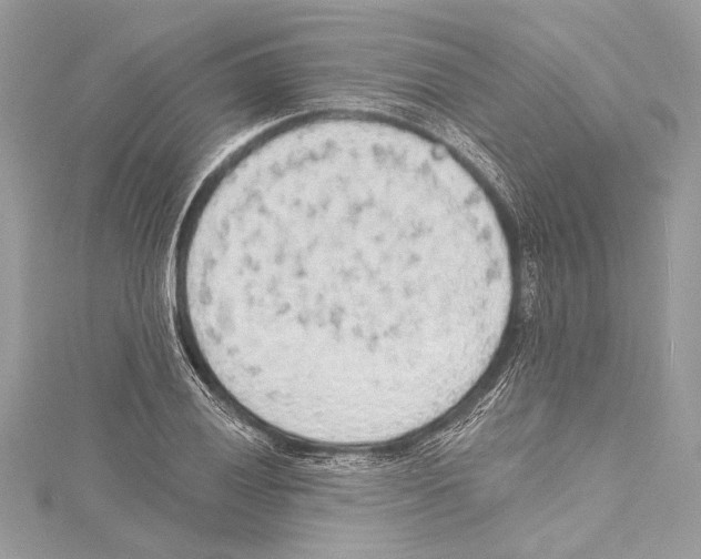 X0000115421028200912011322