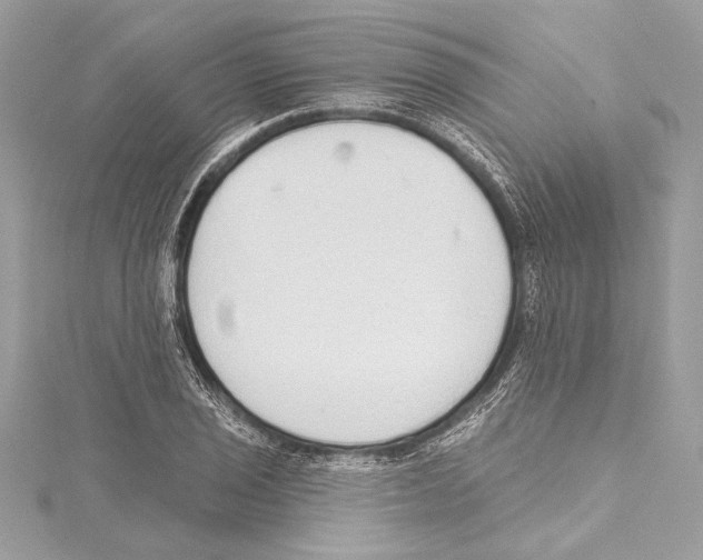 X0000115421029200912011322