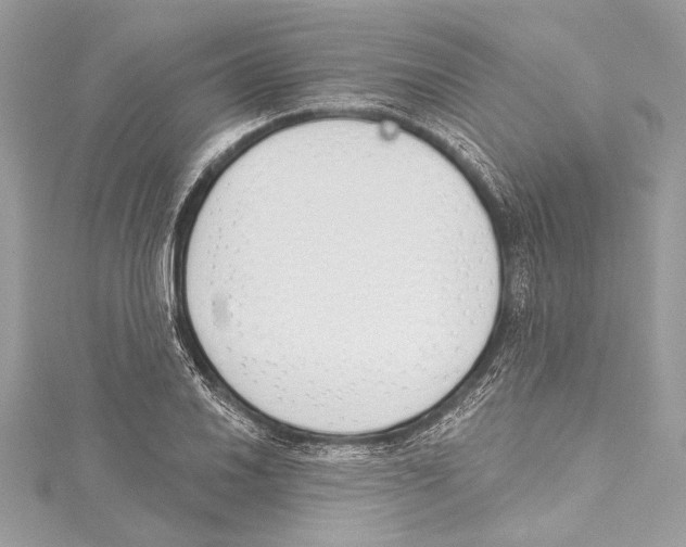 X0000115421030200912011322