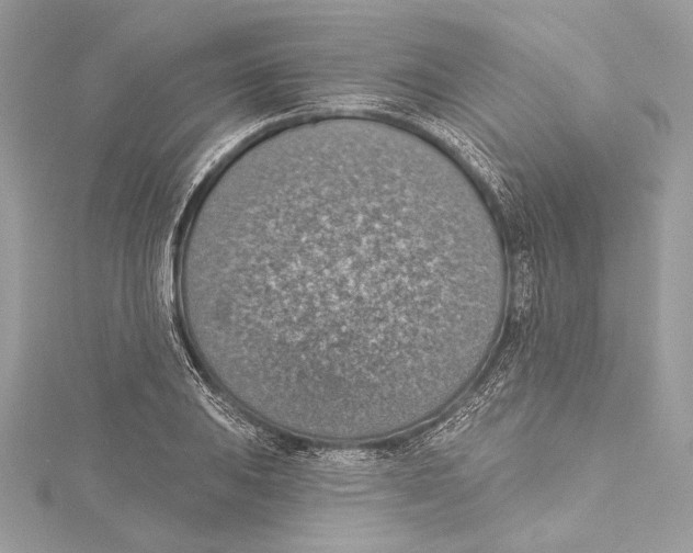 X0000115421031200912011322