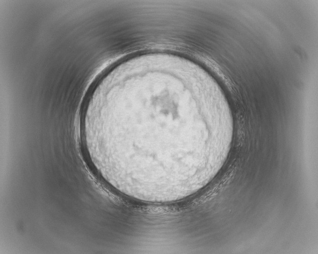 X0000115421032200912011322