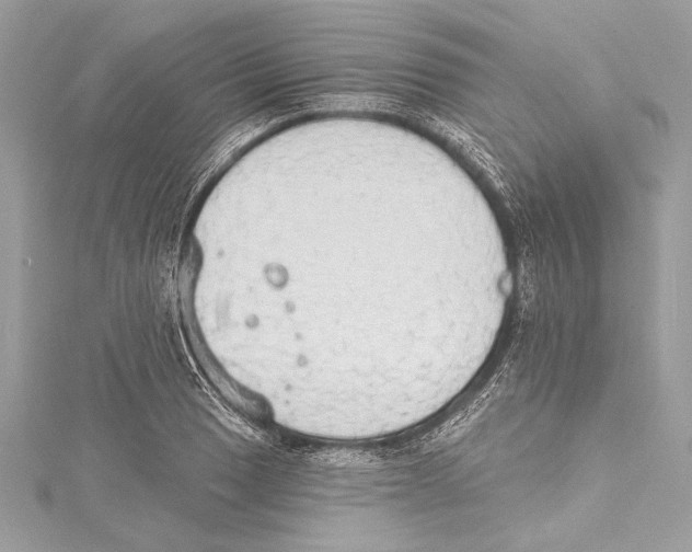 X0000115421033200912011322