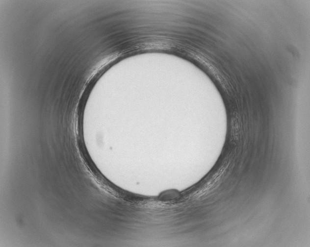 X0000115421034200912011322