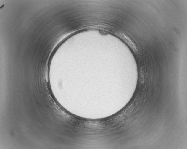 X0000115421036200912011322