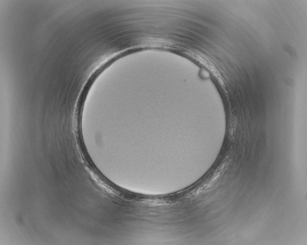 X0000115421037200912011322