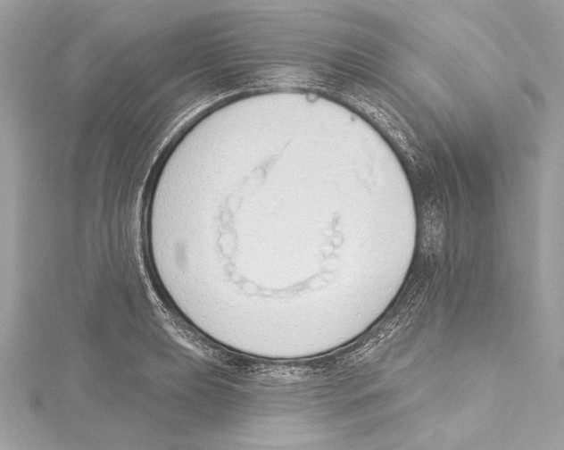 X0000115421039200912011322