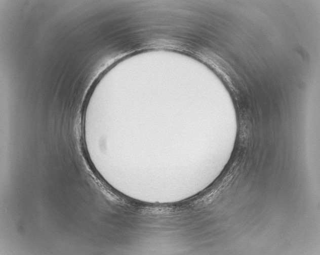 X0000115421040200912011322