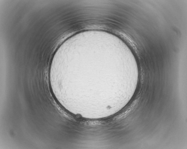 X0000115421041200912011323