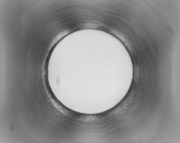 X0000115421042200912011323