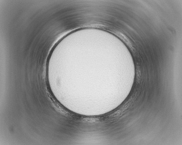 X0000115421044200912011323