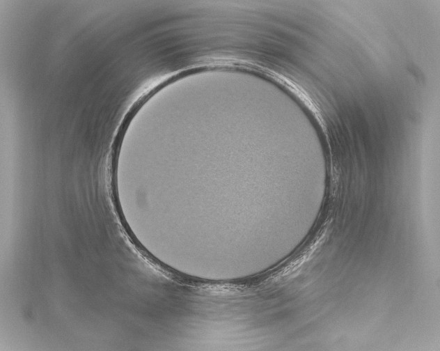 X0000115421045200912011323