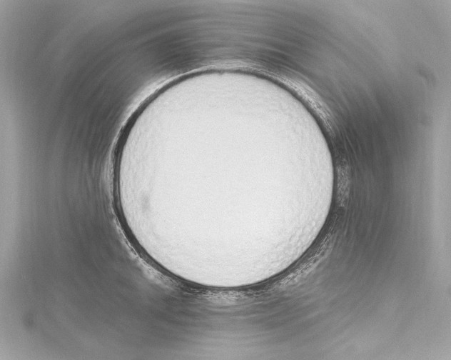 X0000115421046200912011323