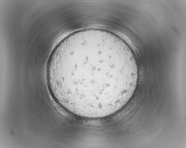 X0000115421047200912011323