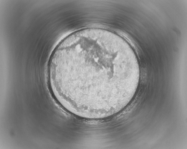 X0000115421048200912011323