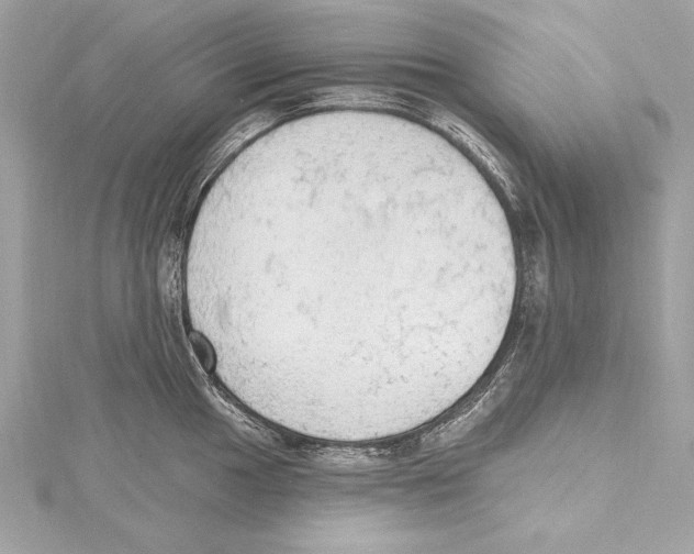 X0000115421049200912011323