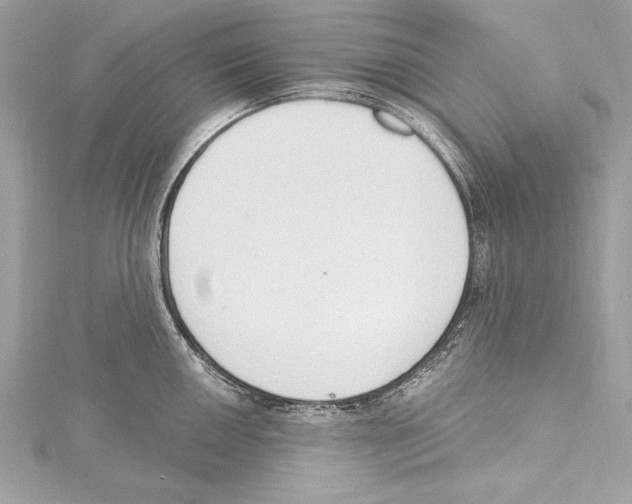 X0000115421050200912011323