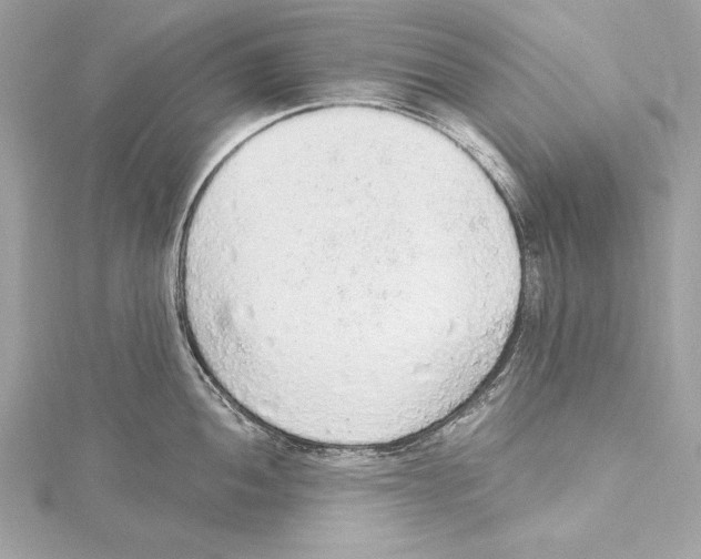 X0000115421052200912011323