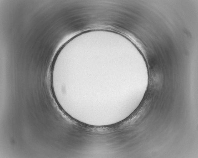 X0000115421053200912011323