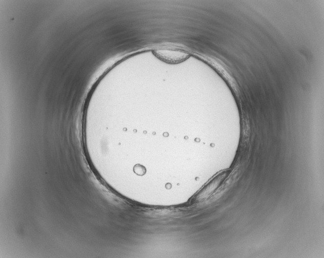 X0000115421054200912011323