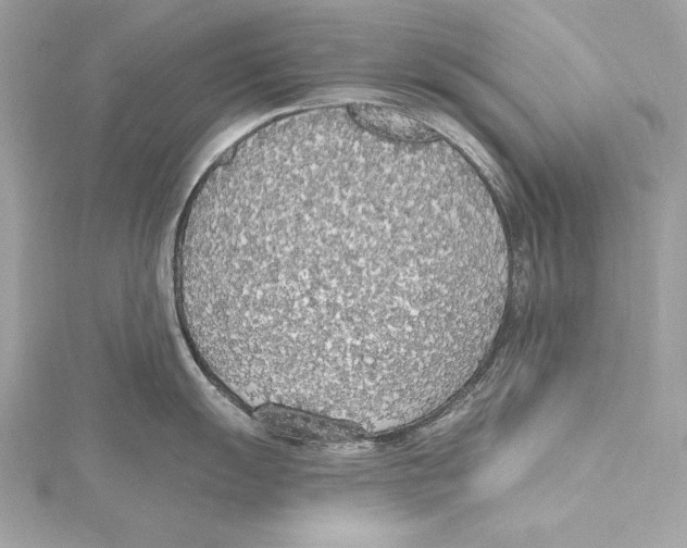 X0000115421055200912011323